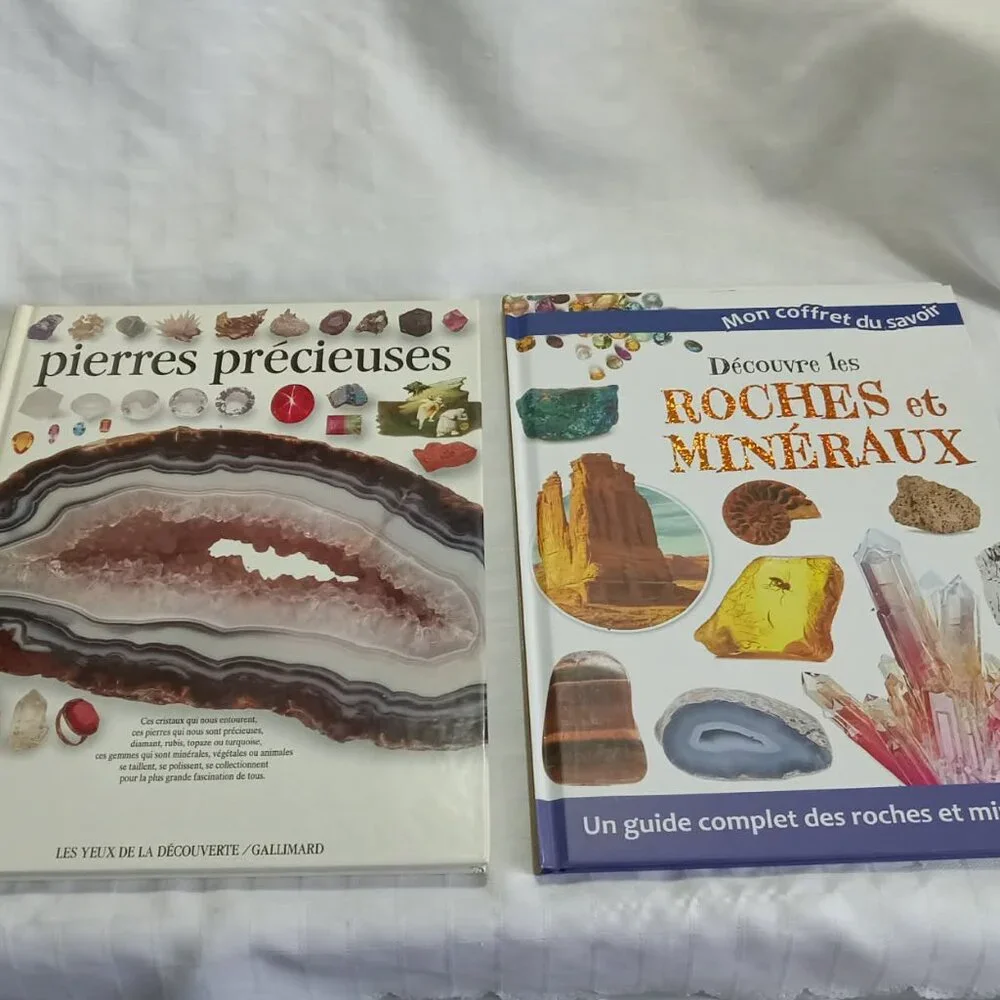 Two books on rocks, minerals, and gemstones, in French - Picture 1 of 10